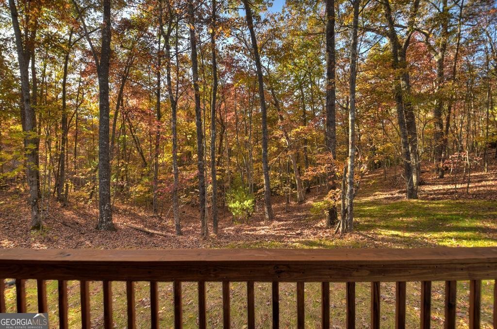 4011 Murphy Hwy Mineral Bluff - 41