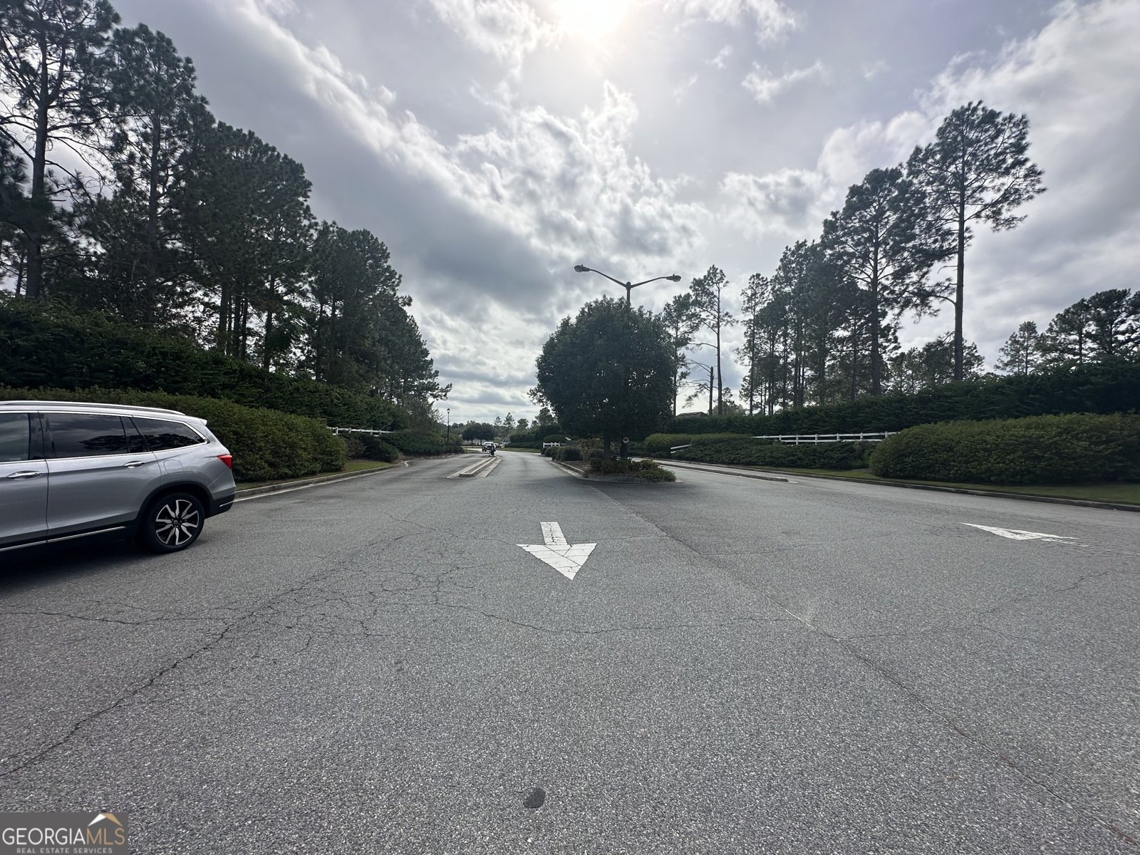 7325 Wind Chase Drive Hahira - 10