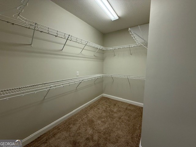 7325 Wind Chase Drive Hahira - 3