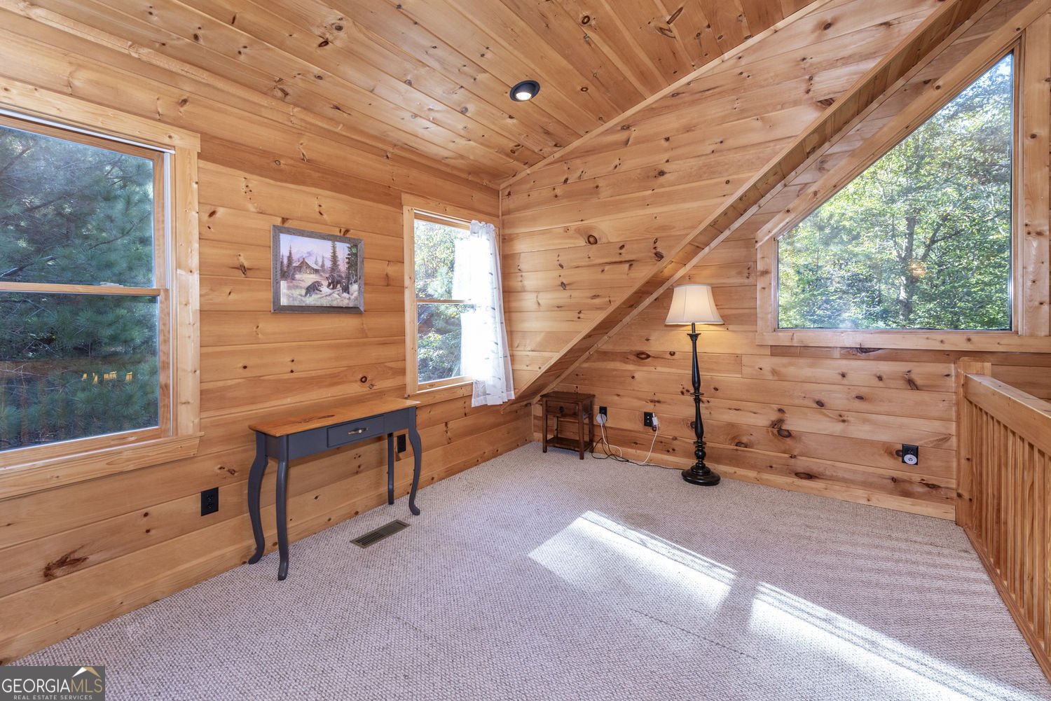 120 Pasha Drive Ellijay - 22