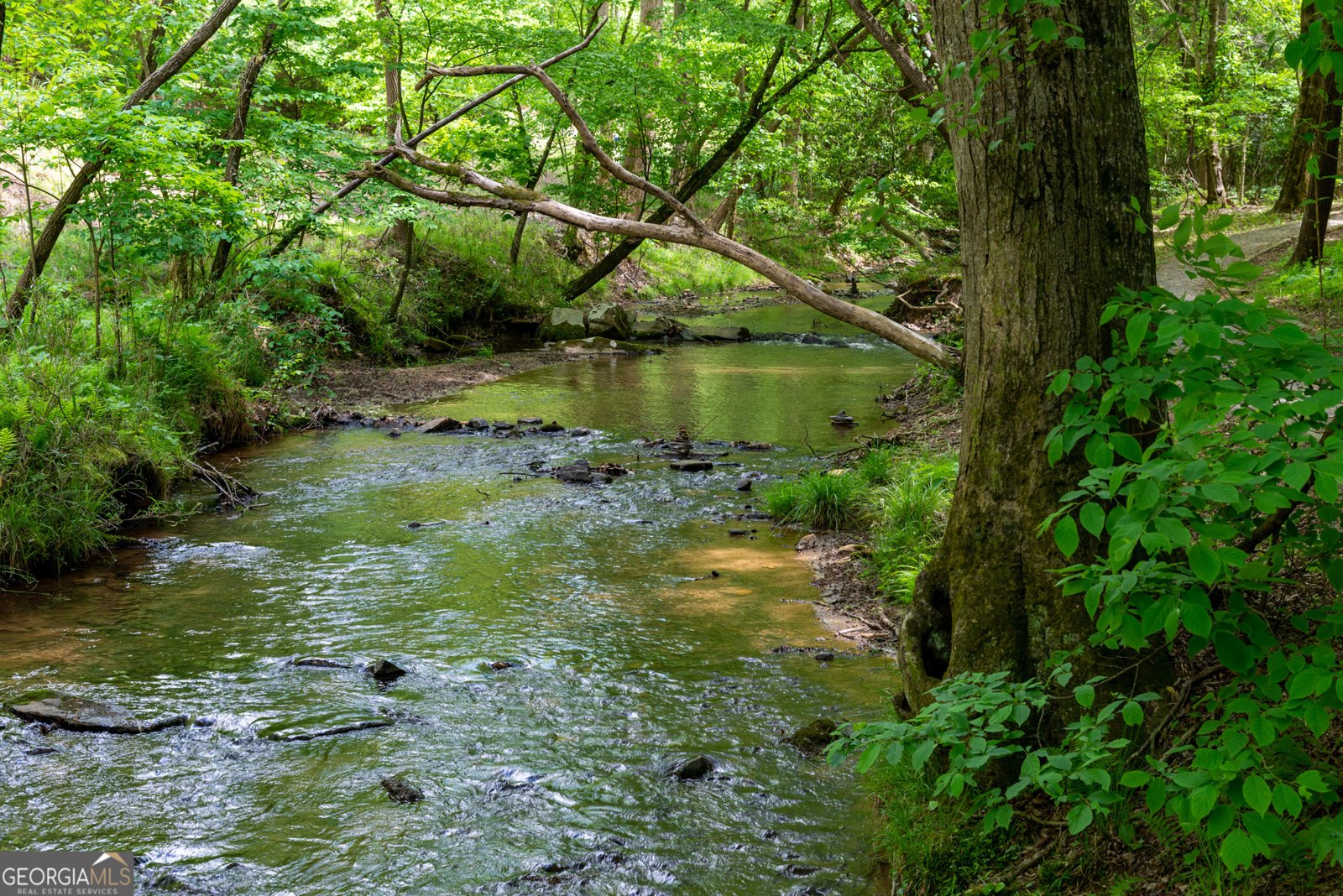 120 Pasha Drive Ellijay - Photo 47