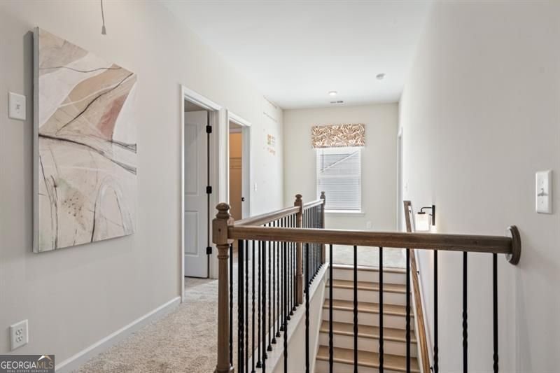 48 Calla Drive Douglasville - 22