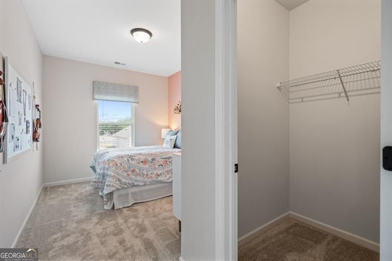 48 Calla Drive Douglasville - 43