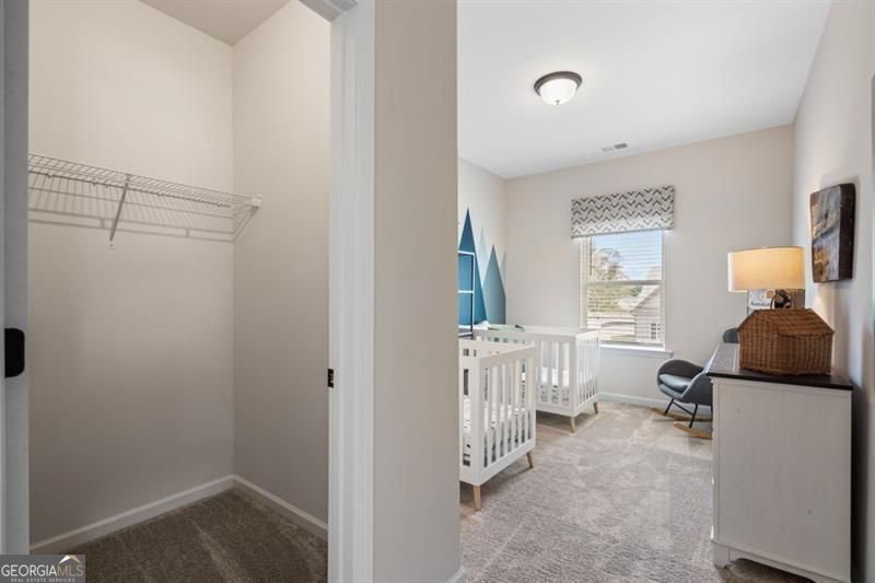 48 Calla Drive Douglasville - 44