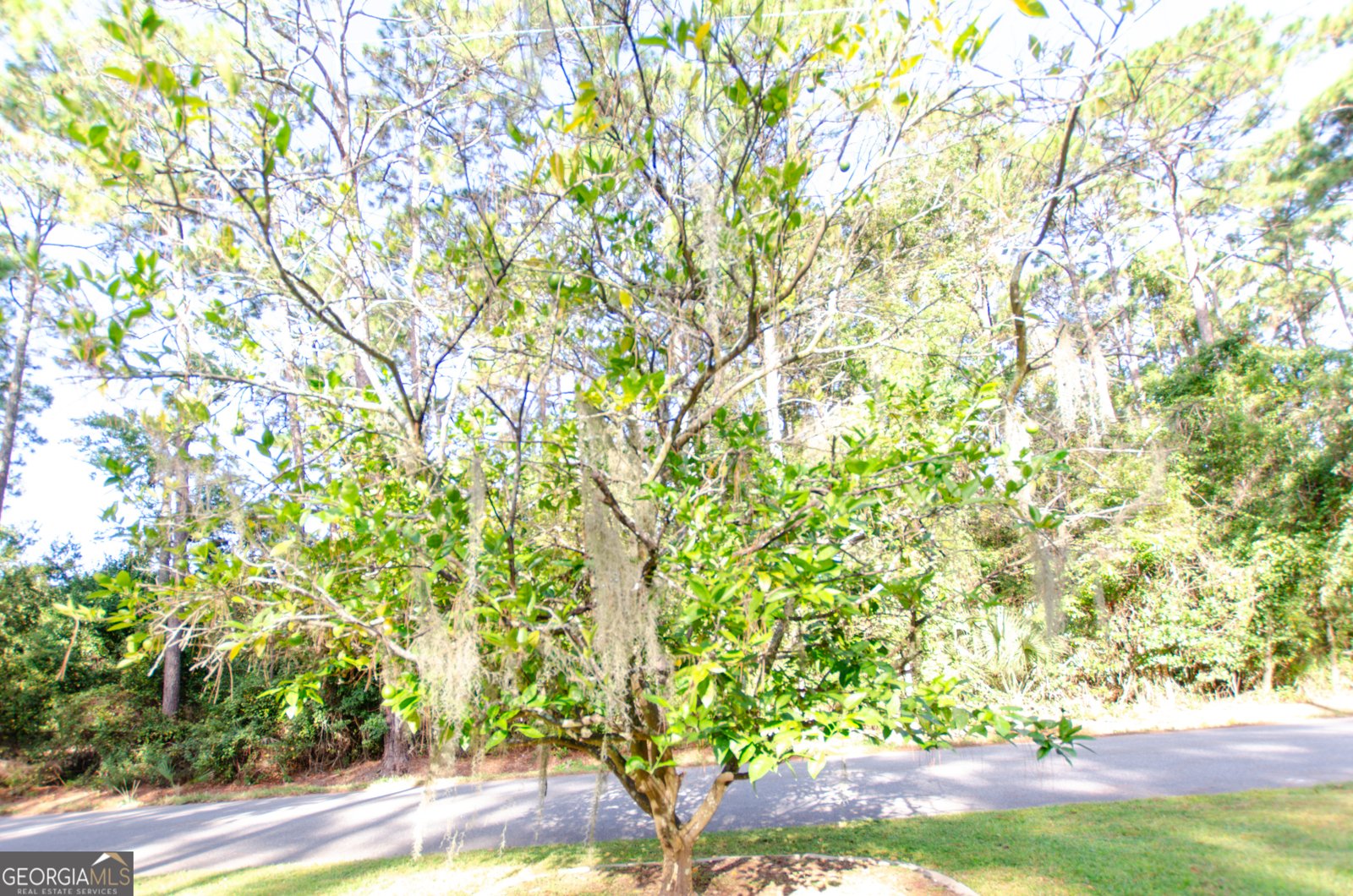 3500 Dolphin Street Brunswick - 7