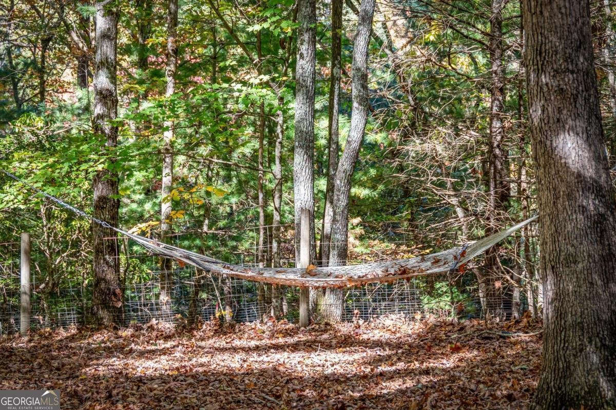 196 Ethan Wilson Way Morganton - 39