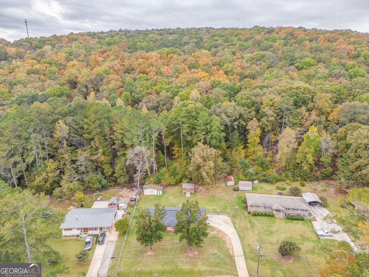 413 Blackberry Lane Lindale - 26