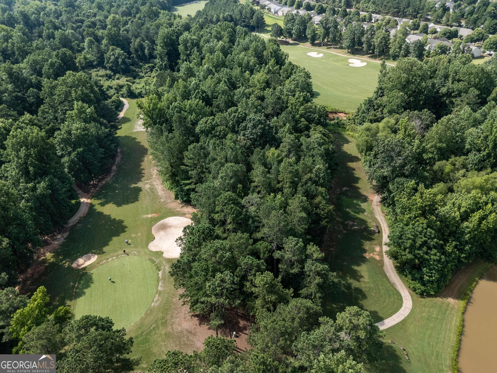 1403 Wild Cherry Court Griffin - 26