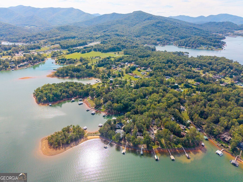 1370 Heathers Cove Circle Hiawassee - 36