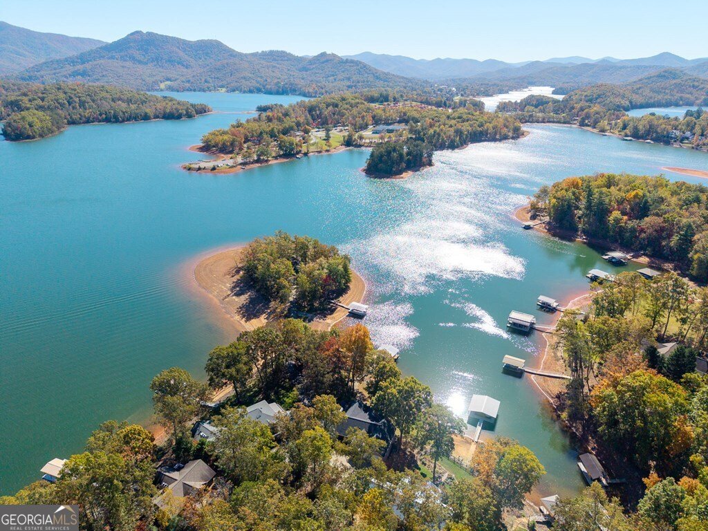 1370 Heathers Cove Circle Hiawassee - 8