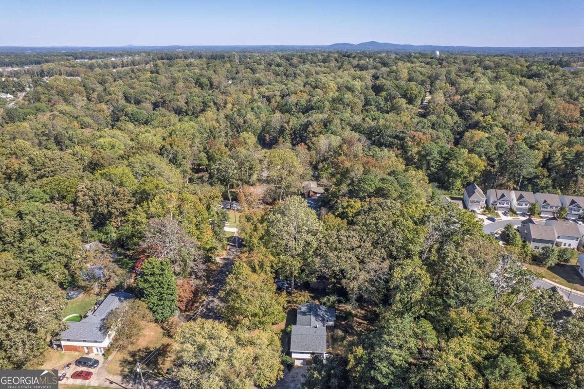 1593 Dogwood Lane Acworth - 30