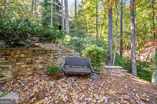 81 Flycatcher Point Big Canoe - 10