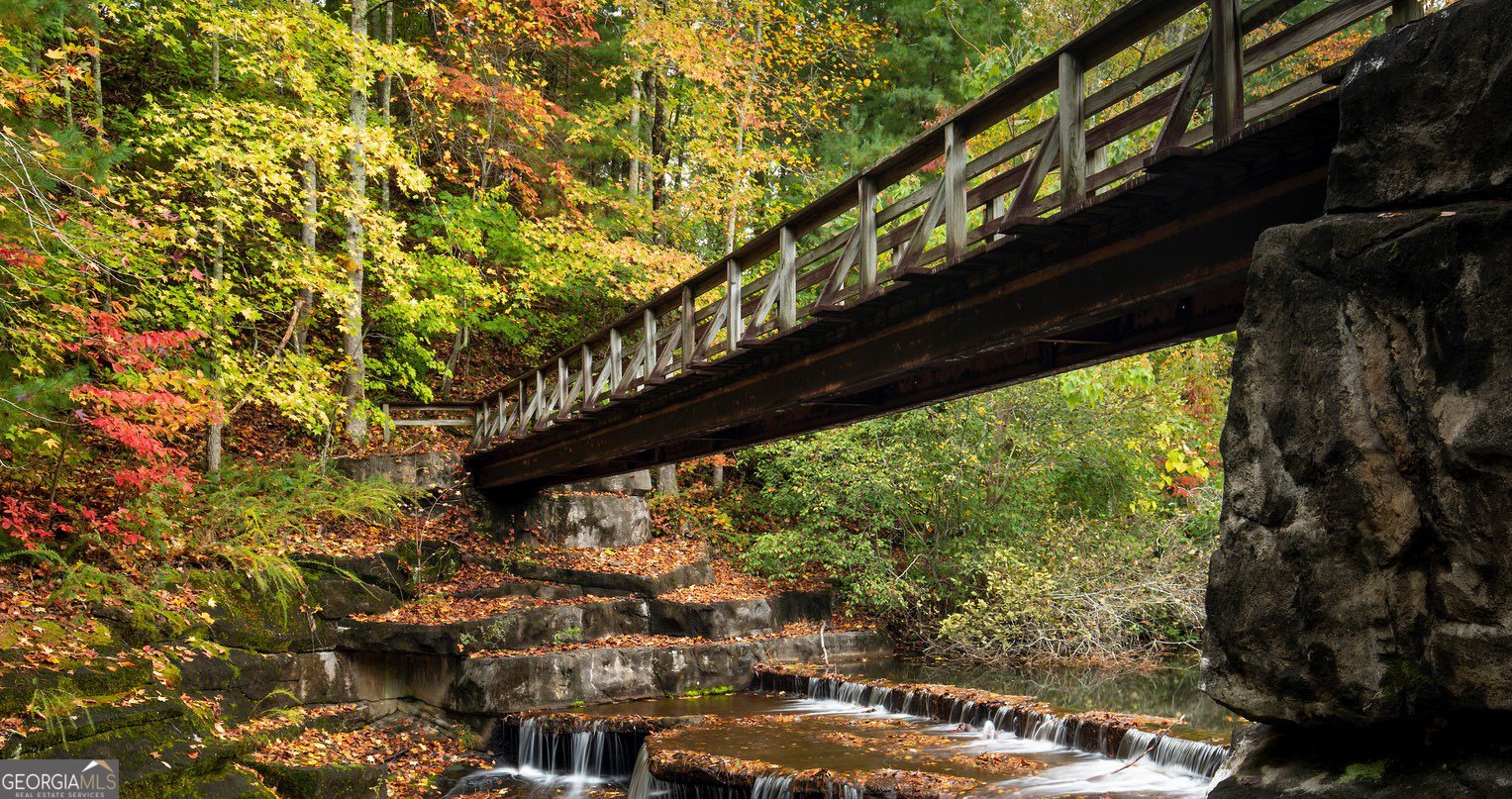 81 Flycatcher Point Big Canoe - 20