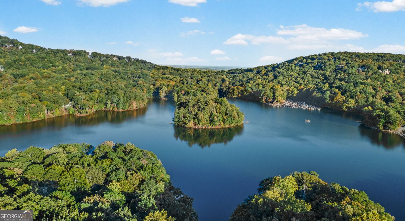 81 Flycatcher Point Big Canoe - 55