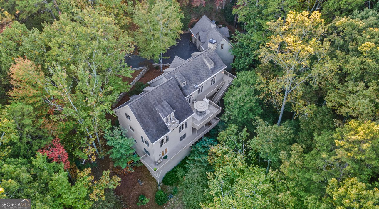 81 Flycatcher Point Big Canoe - 6