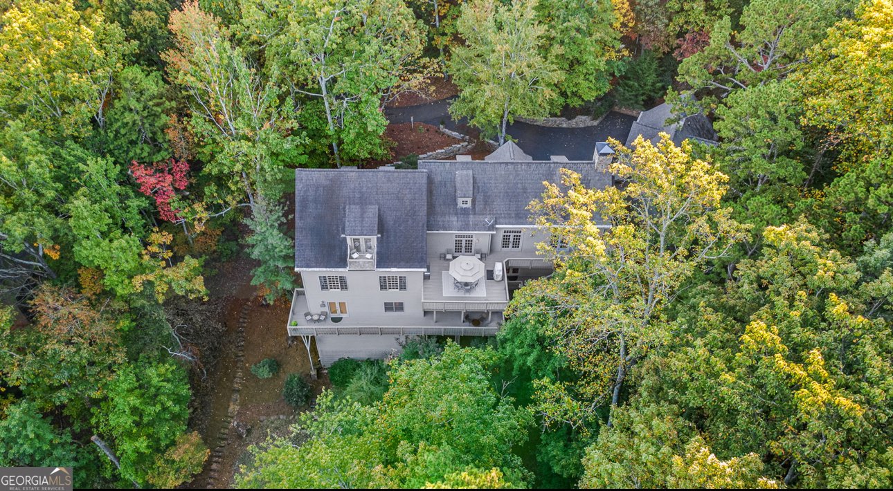 81 Flycatcher Point Big Canoe - 7