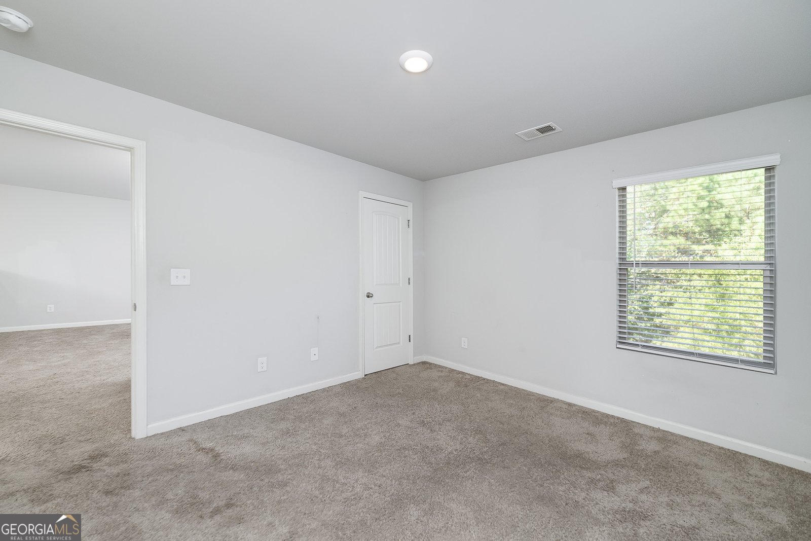 1450 Veranda Lane McDonough - 13