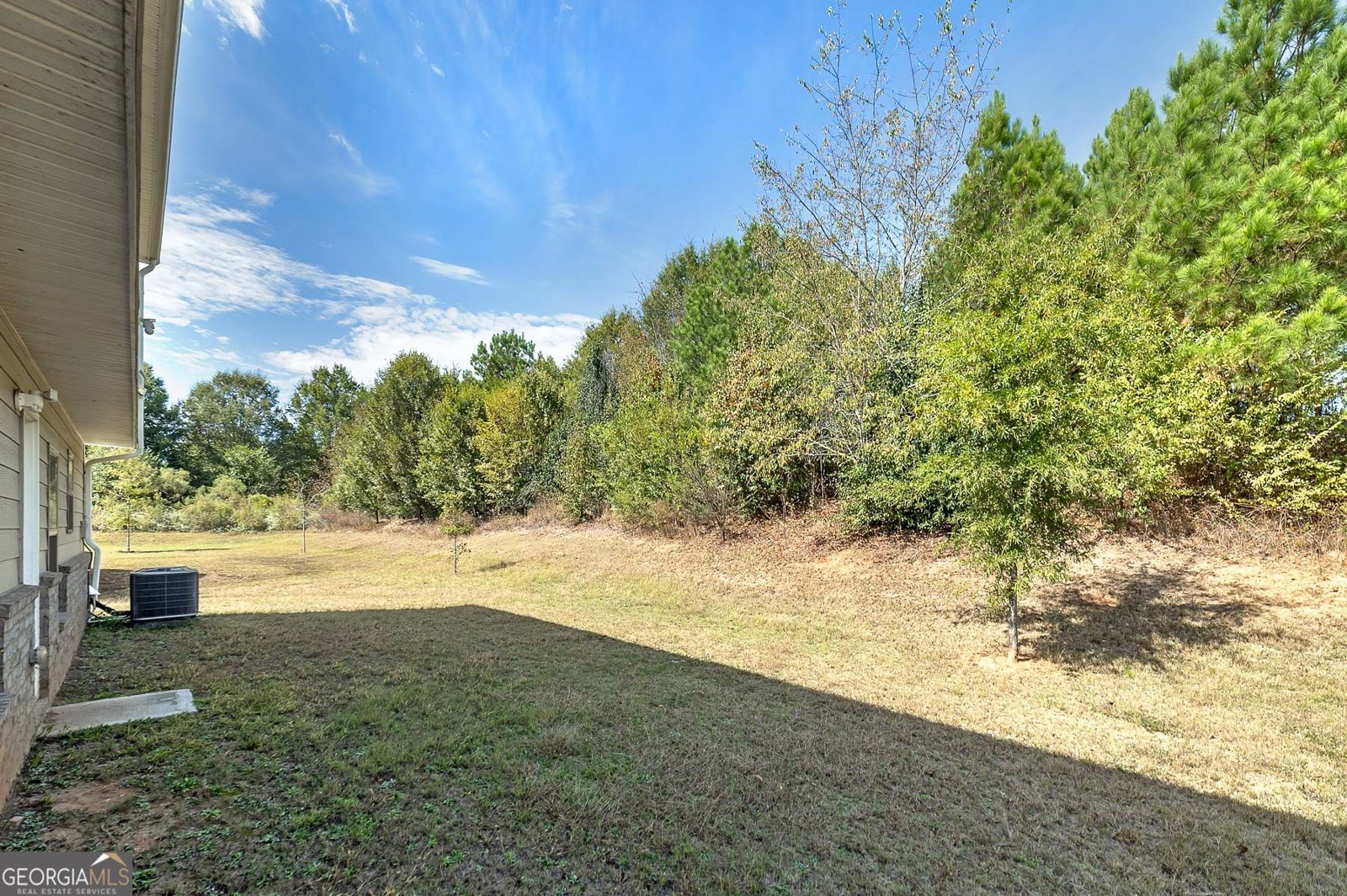 1450 Veranda Lane McDonough - 3