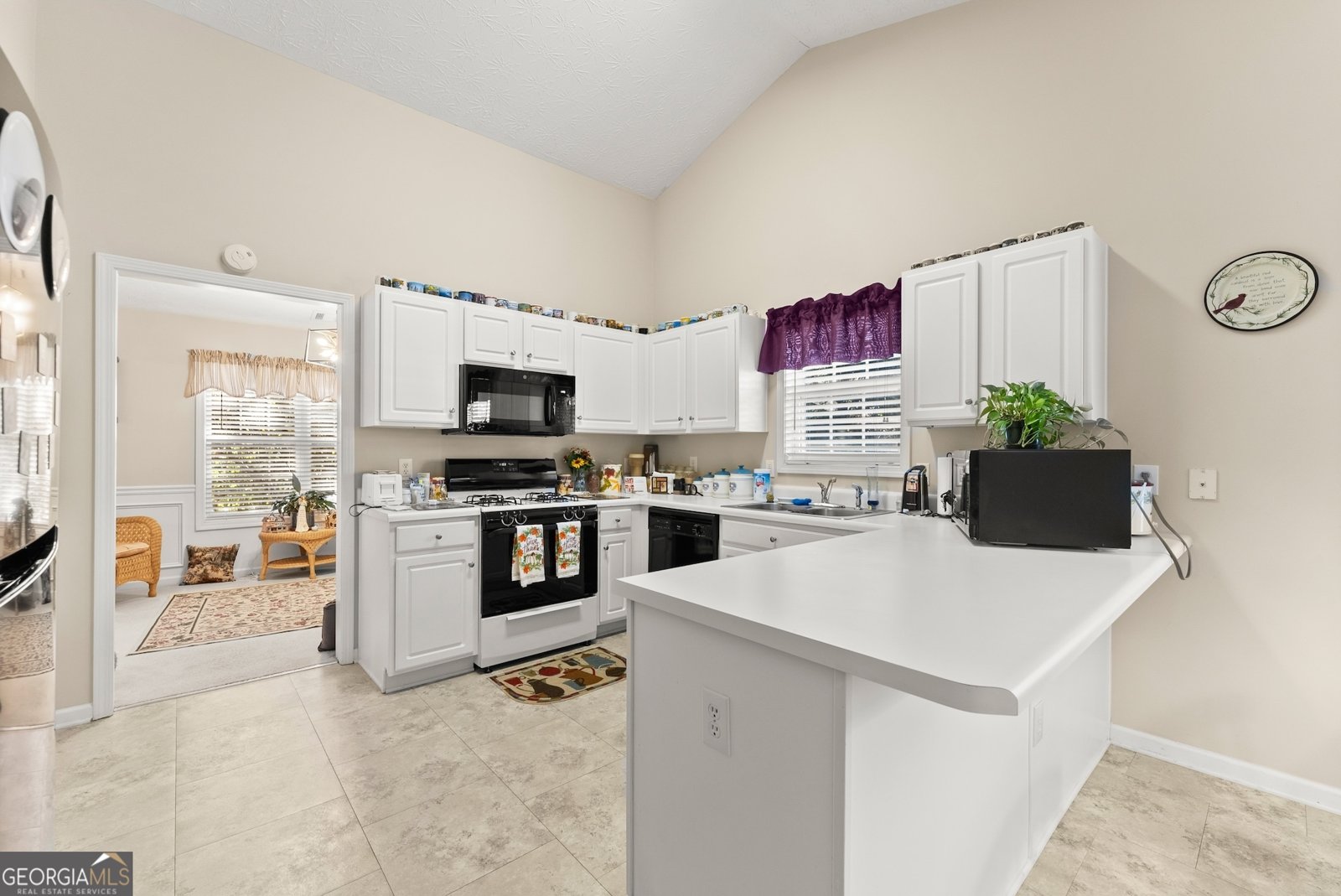 3927 Celtic Court Gainesville - 19