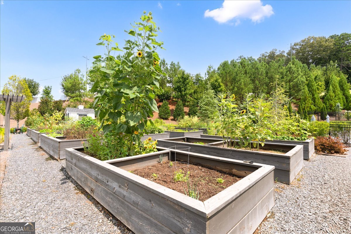 626 Shadow Moss Avenue Canton - 25