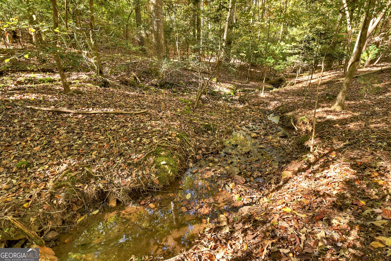 40 Cadet Court Ellijay - 12