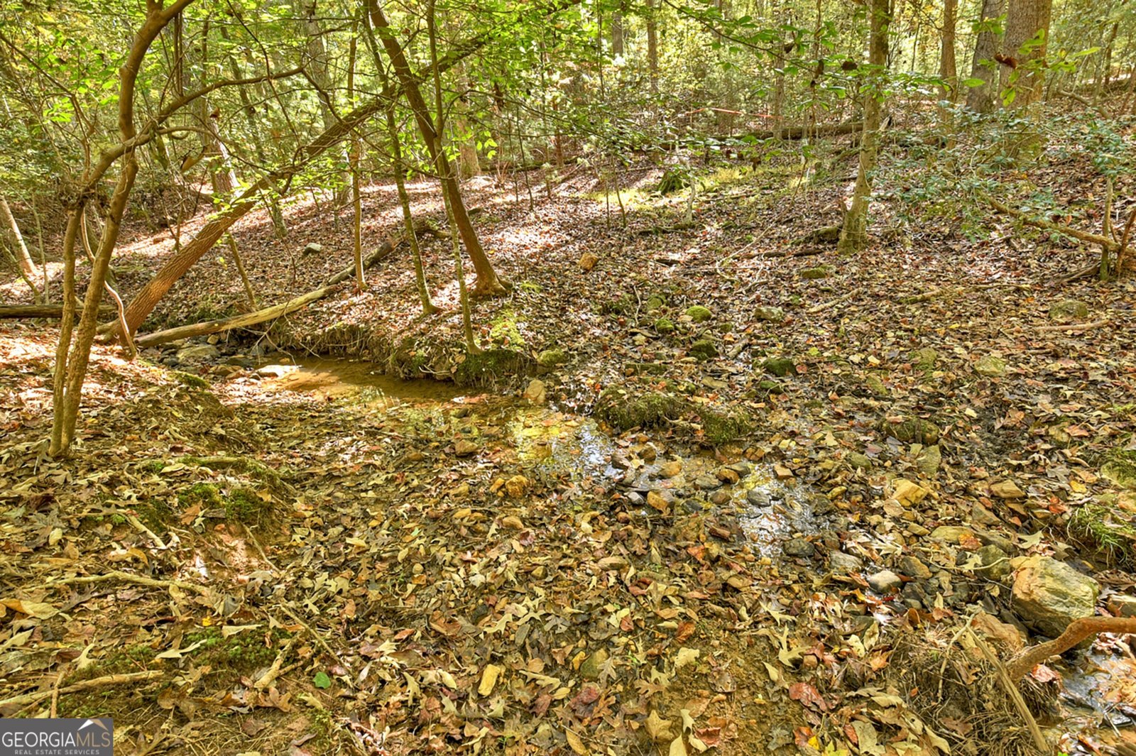 40 Cadet Court Ellijay - 13