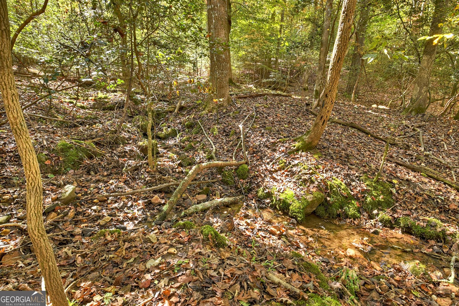 40 Cadet Court Ellijay - 14