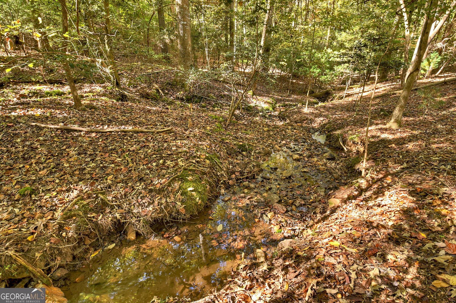 40 Cadet Court Ellijay - 34