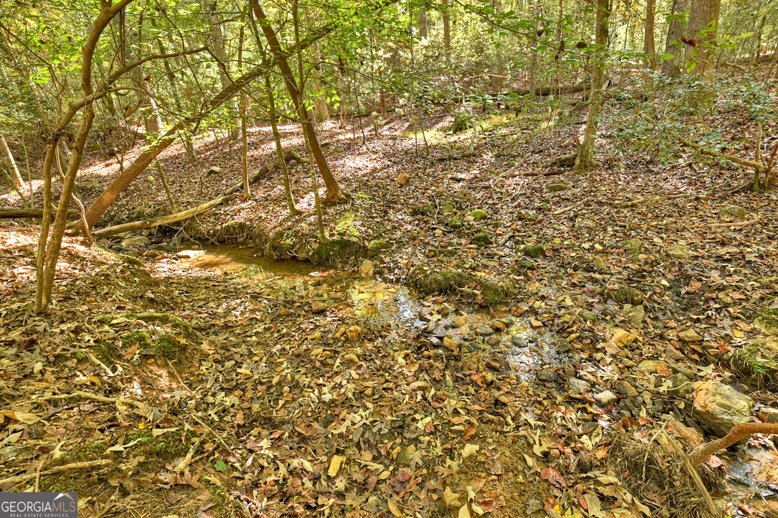 40 Cadet Court Ellijay - 35