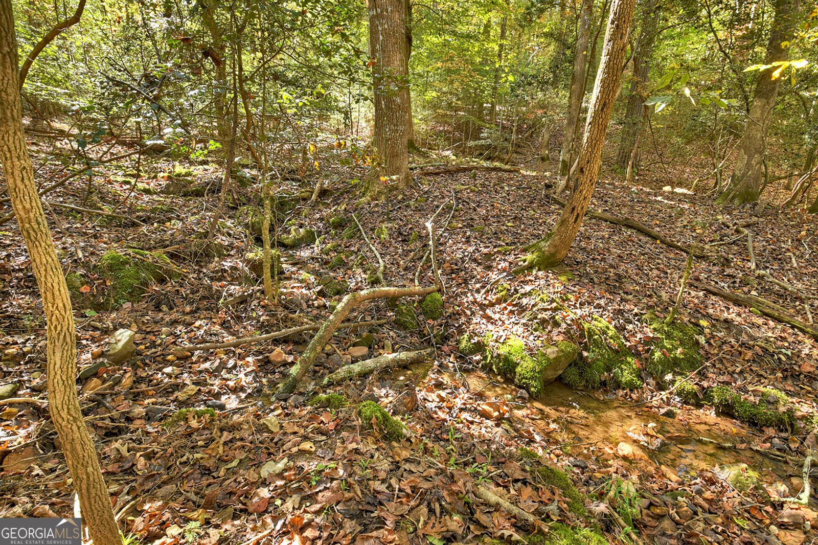 40 Cadet Court Ellijay - 36