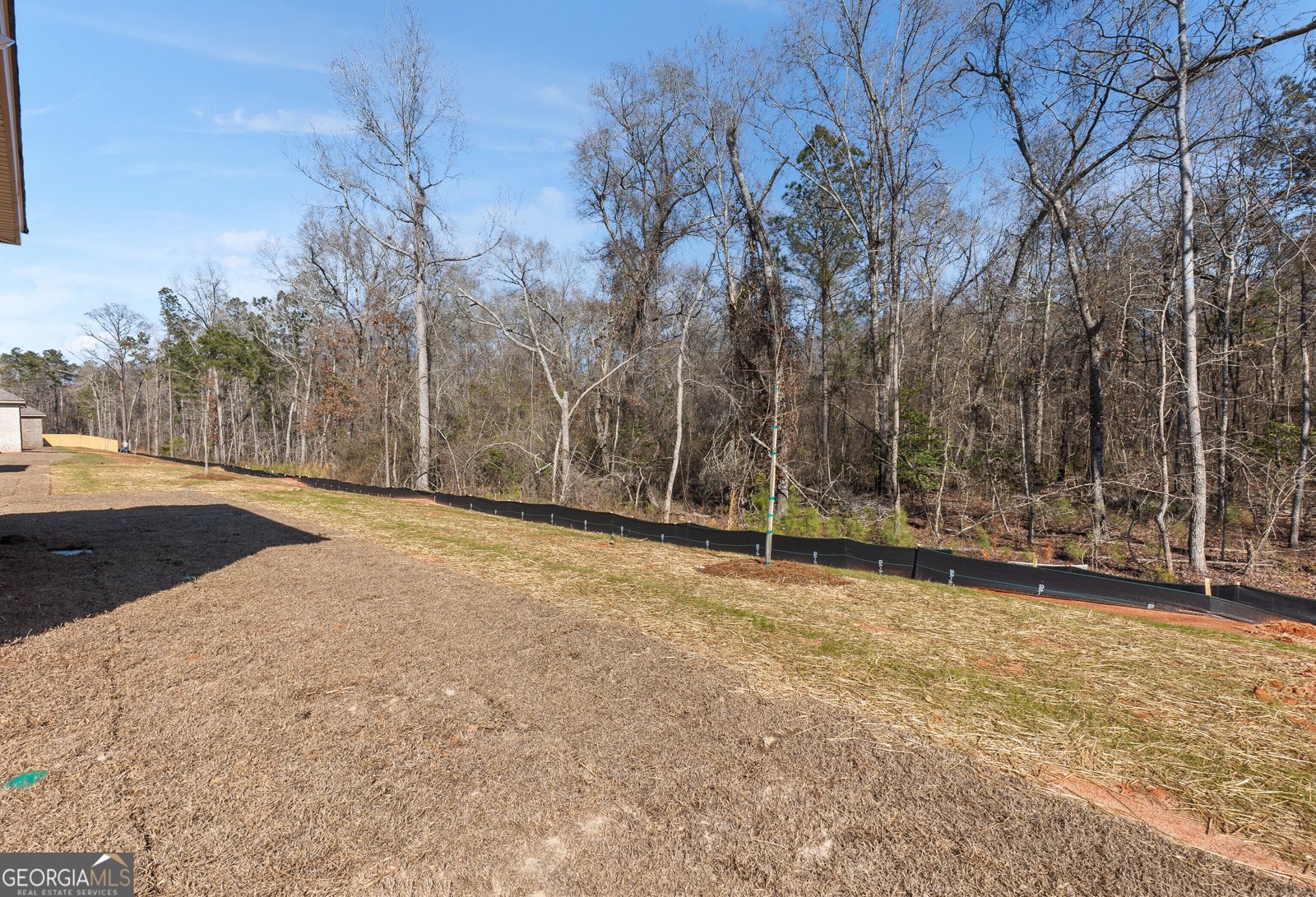 602 Bristleleaf Path Kathleen - Photo 43