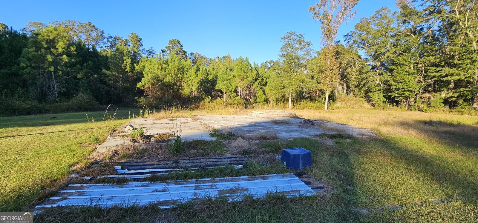 596 Arnett School Road Sylvania - 17