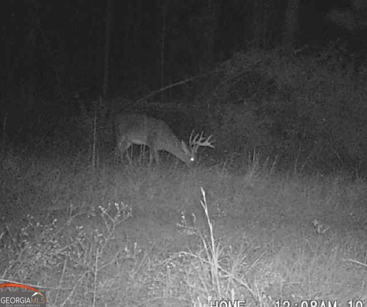 596 Arnett School Road Sylvania - 21