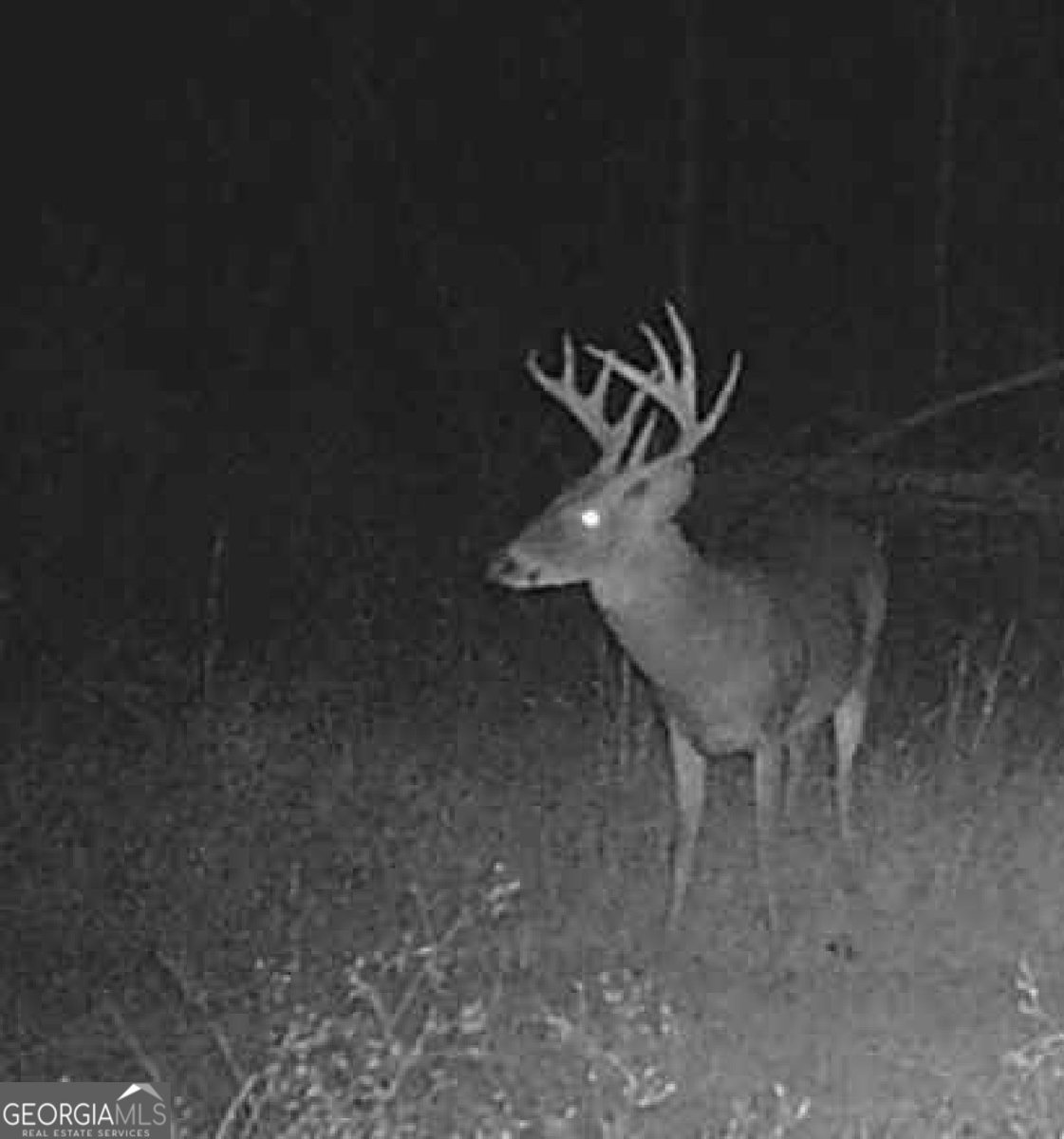 596 Arnett School Road Sylvania - 22