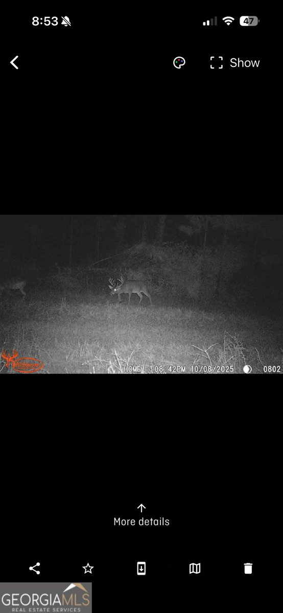 596 Arnett School Road Sylvania - 23