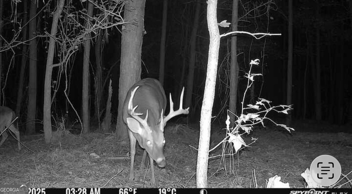 596 Arnett School Road Sylvania - 24