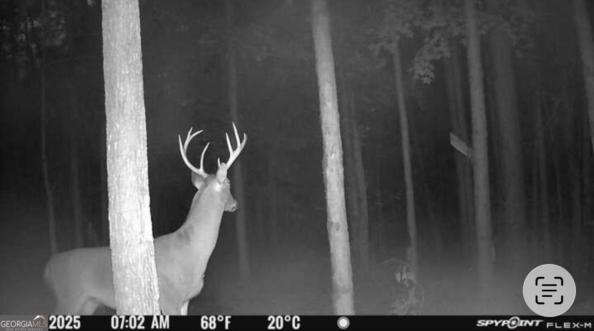 596 Arnett School Road Sylvania - 26