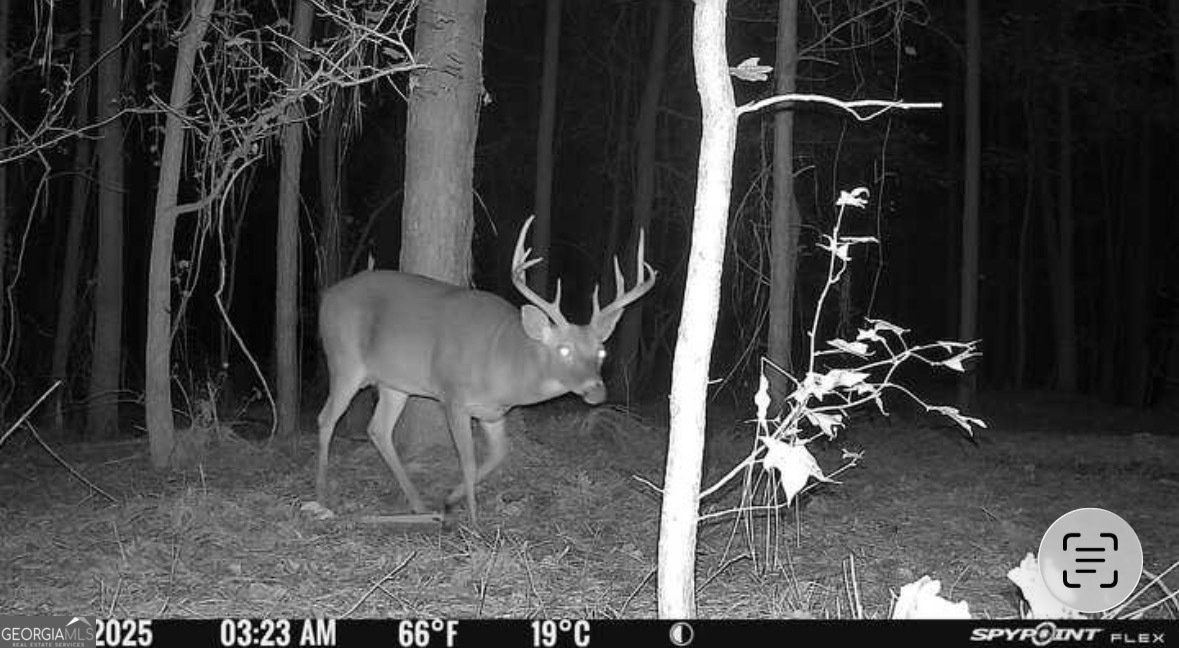 596 Arnett School Road Sylvania - 28