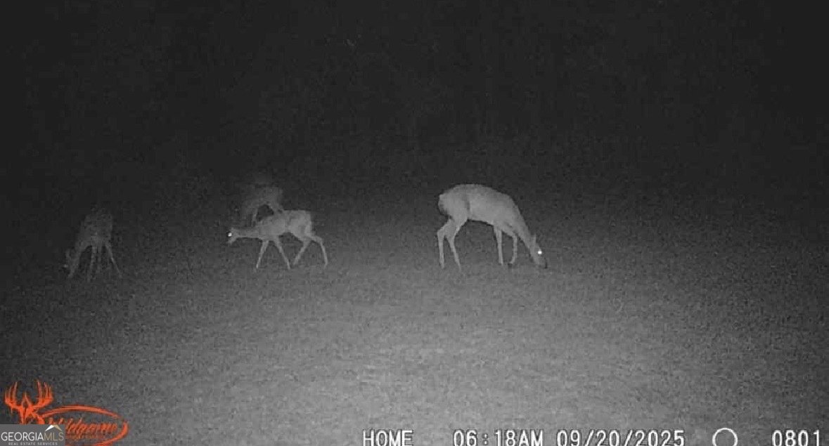 596 Arnett School Road Sylvania - 30