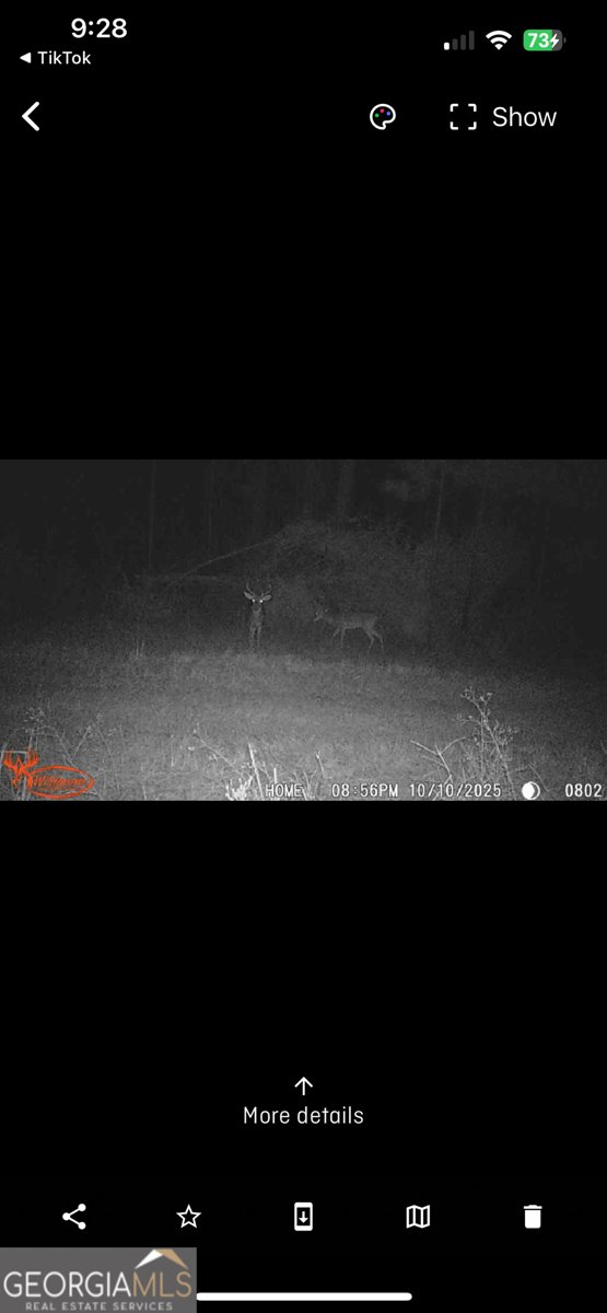 596 Arnett School Road Sylvania - 32