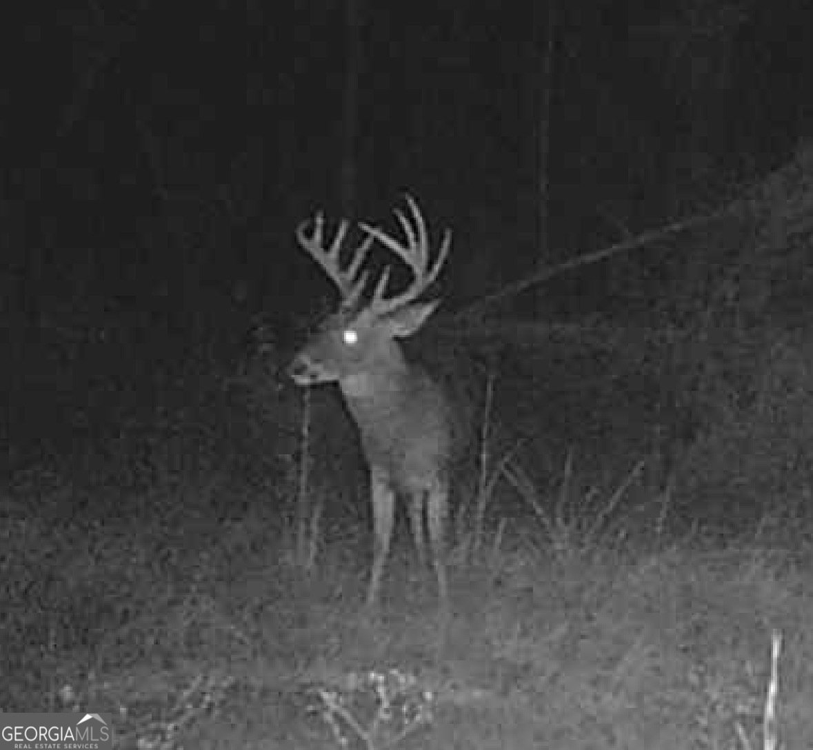 596 Arnett School Road Sylvania - 33