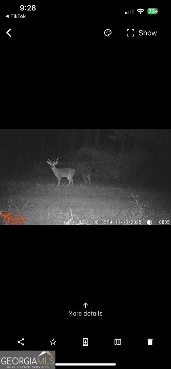 596 Arnett School Road Sylvania - 34