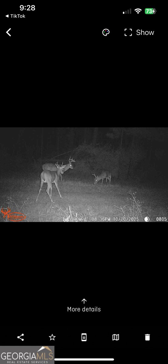 596 Arnett School Road Sylvania - 36