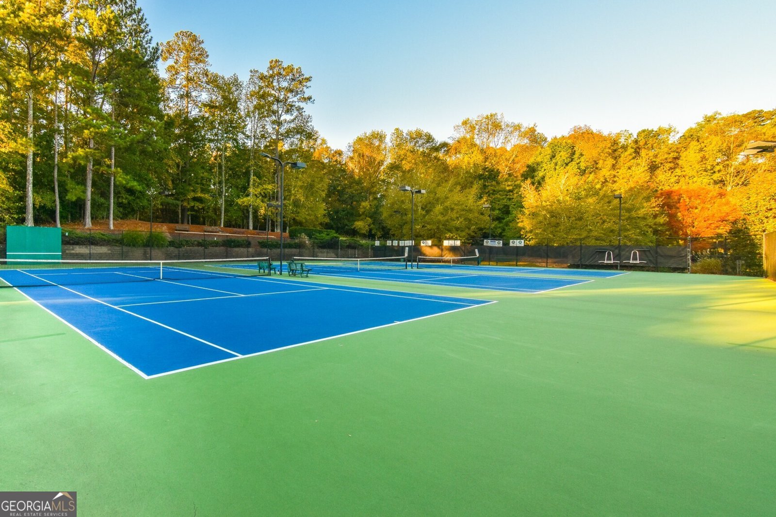 1145 River Laurel Drive Suwanee - 29