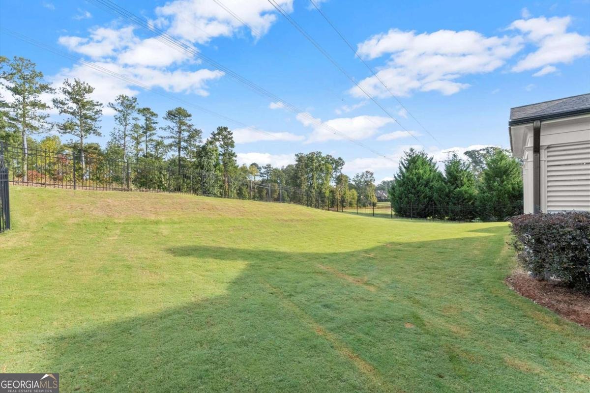 2412 Rosapenna Lane Kennesaw - 47