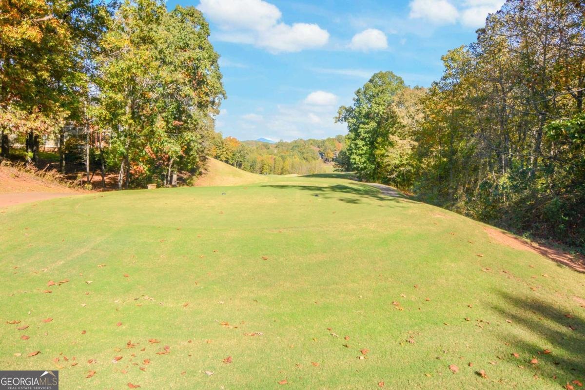 55 SCARLET OAK Lane Dawsonville - 27