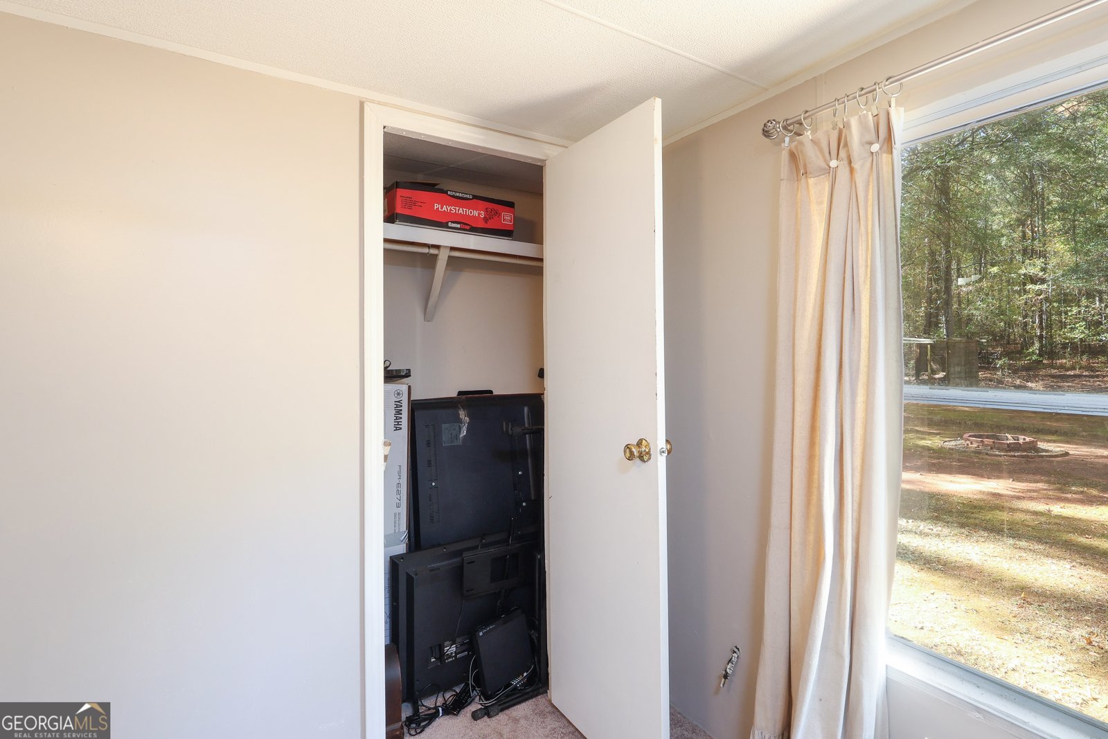 1424 Al Roberts Road Senoia - 17