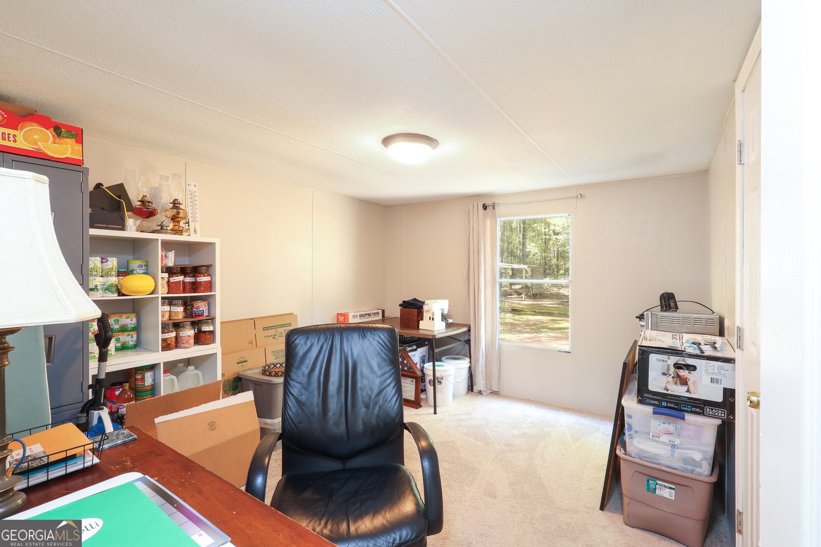 1424 Al Roberts Road Senoia - 18