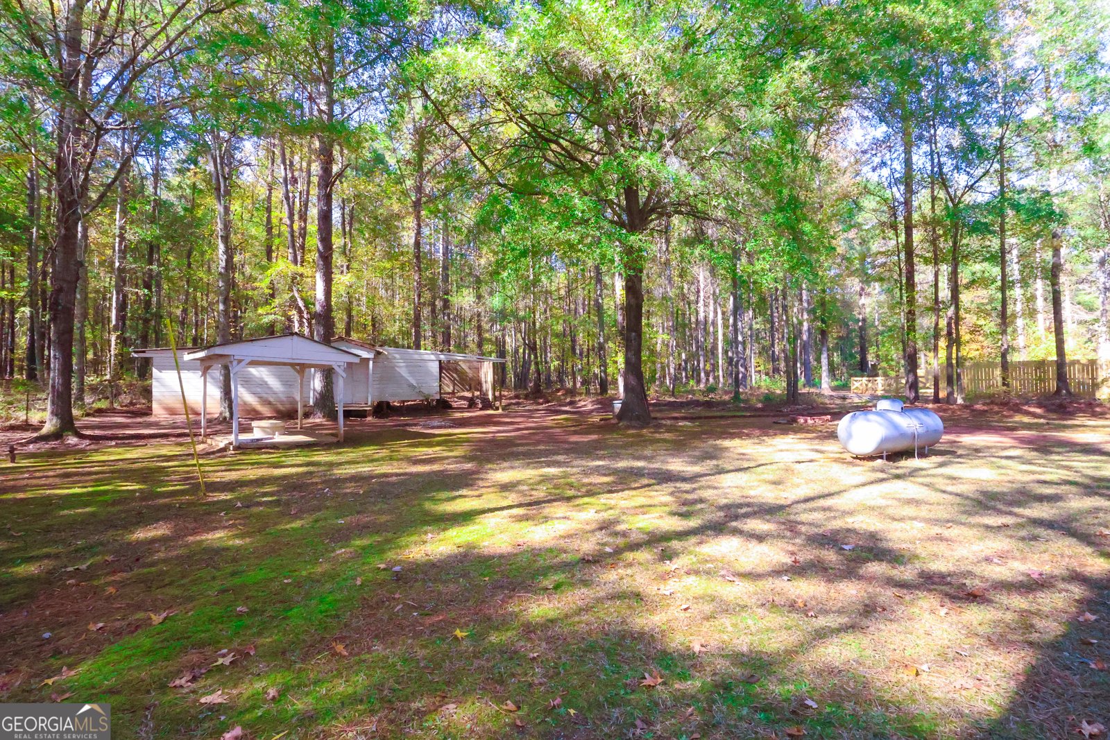 1424 Al Roberts Road Senoia - 43