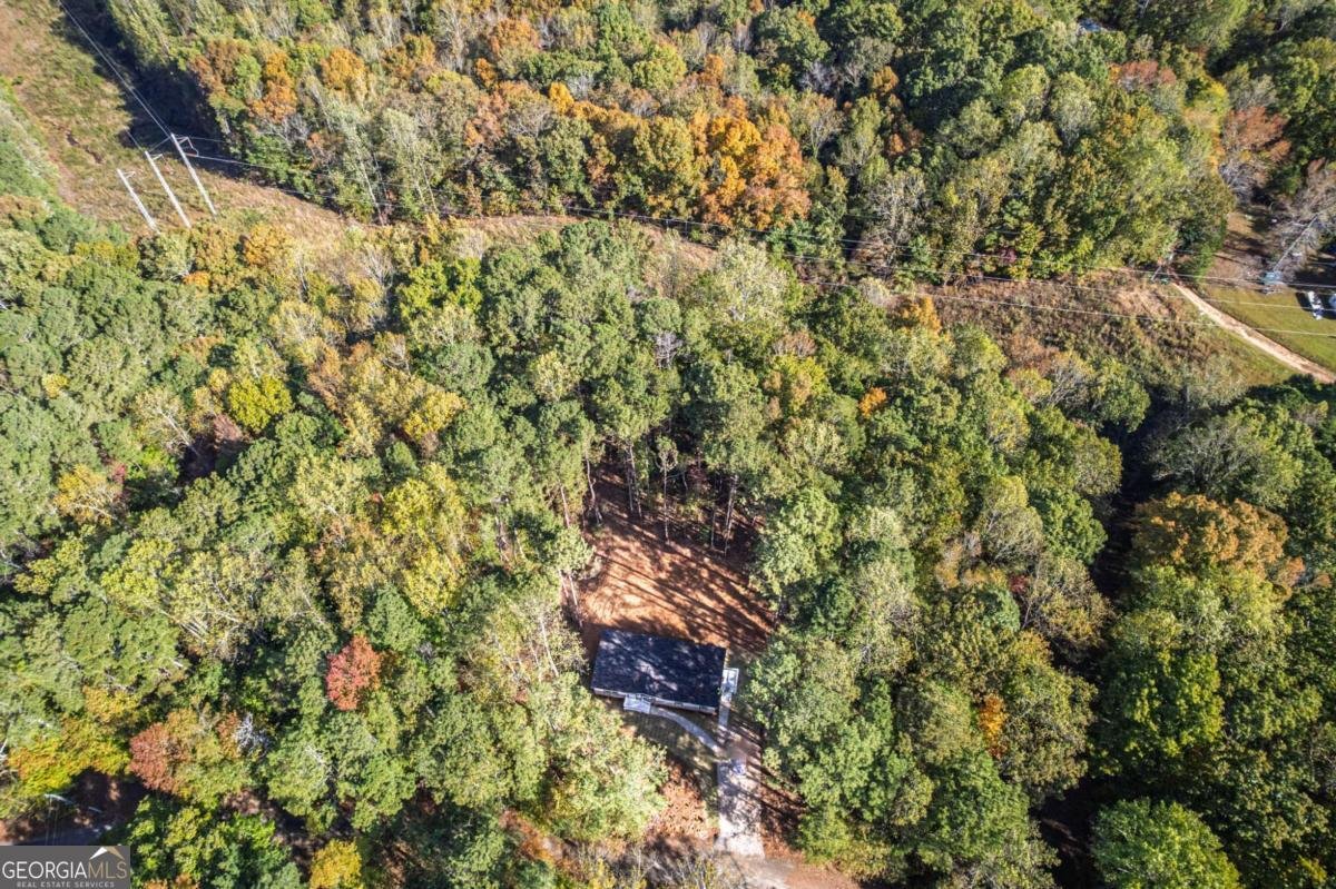 396 Plum Lane Jasper - 37